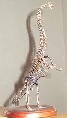 ディプロドクスの頭骨模型